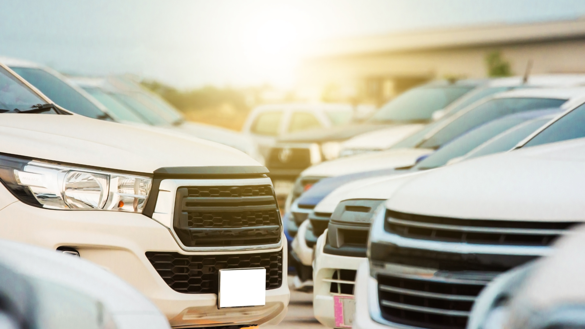 Car & Bus Rental